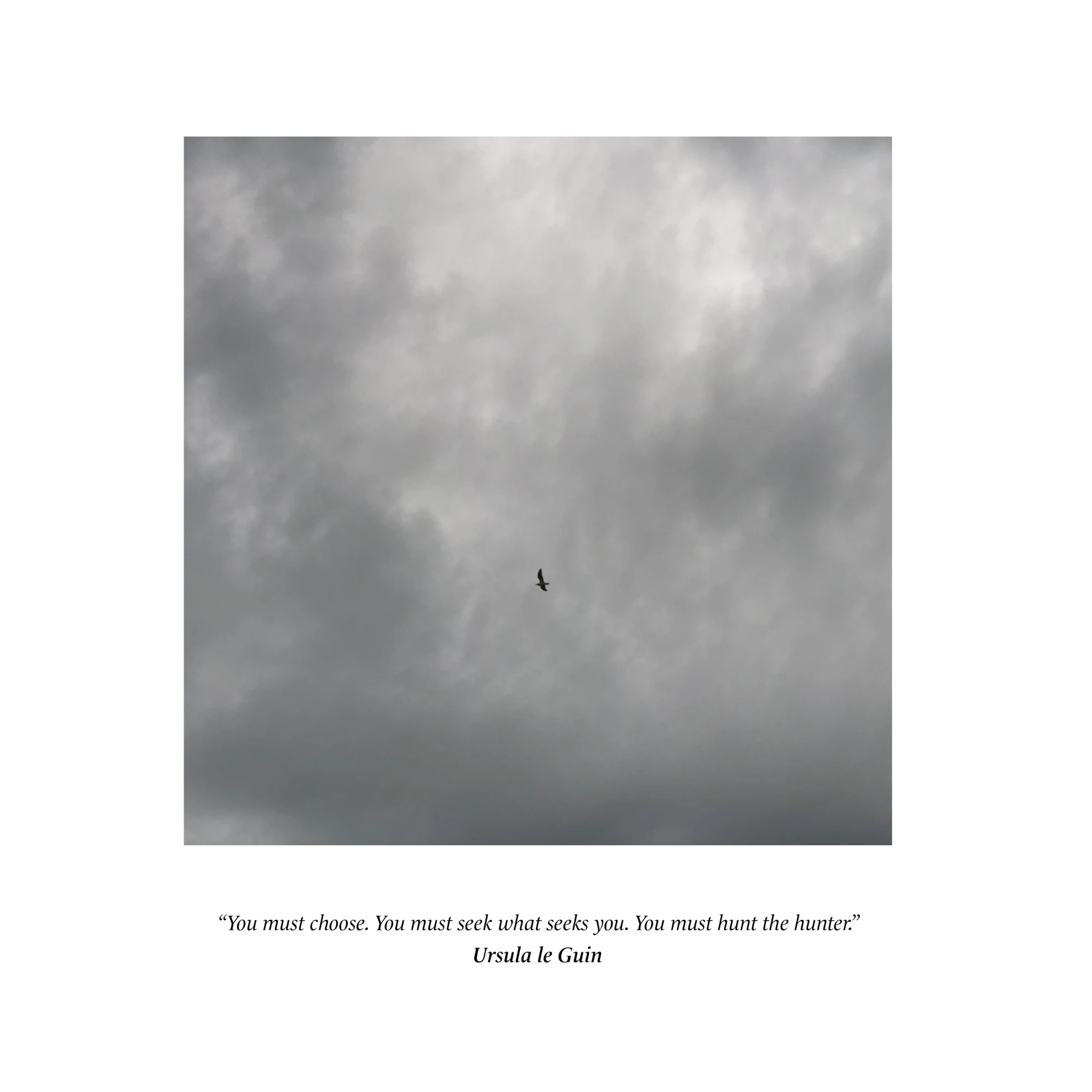 #30Questions sample: page 8 photograph
