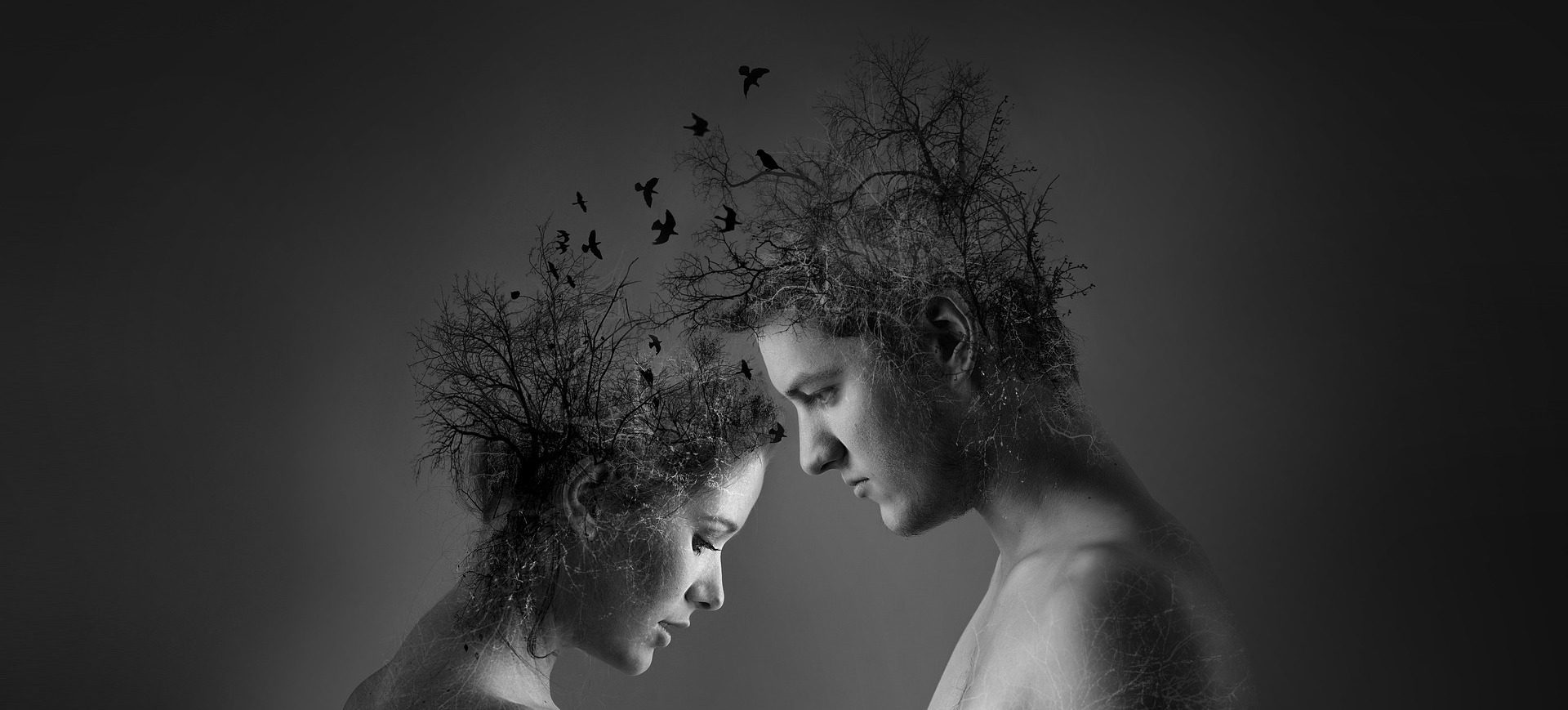 The Paradox of Love Joe Redston